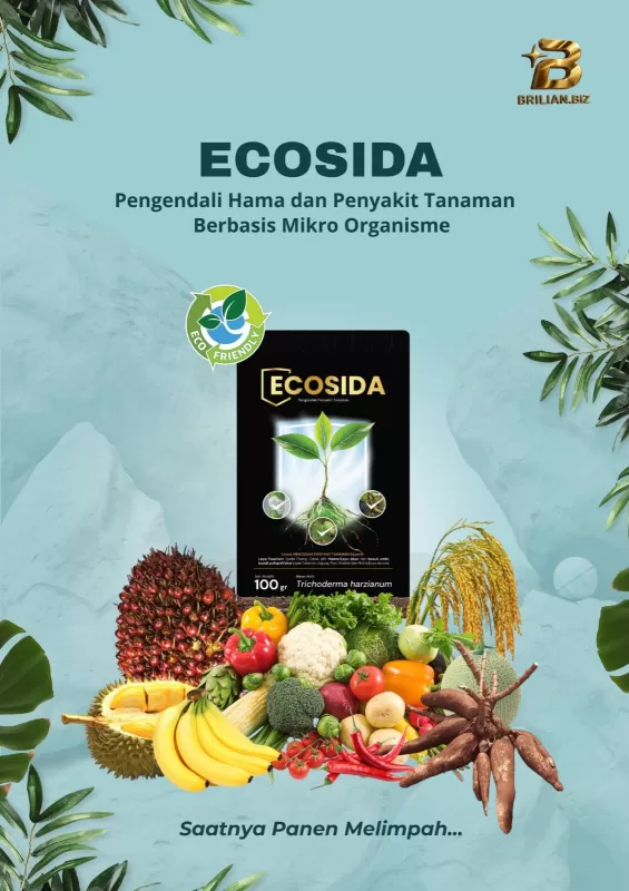 Ecosida
